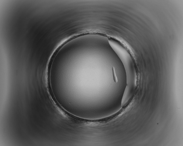 X0000087710894200705111419