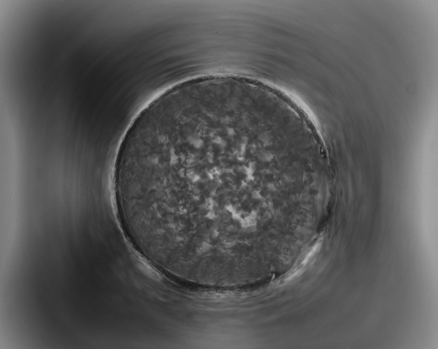 X0000087710895200705111419