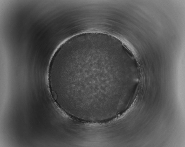 X0000087710896200705111419