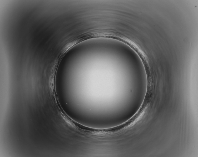 X0000087710897200705111419