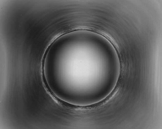 X0000087710898200705111419