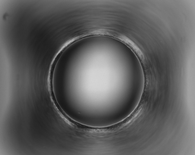 X0000087710902200705111419