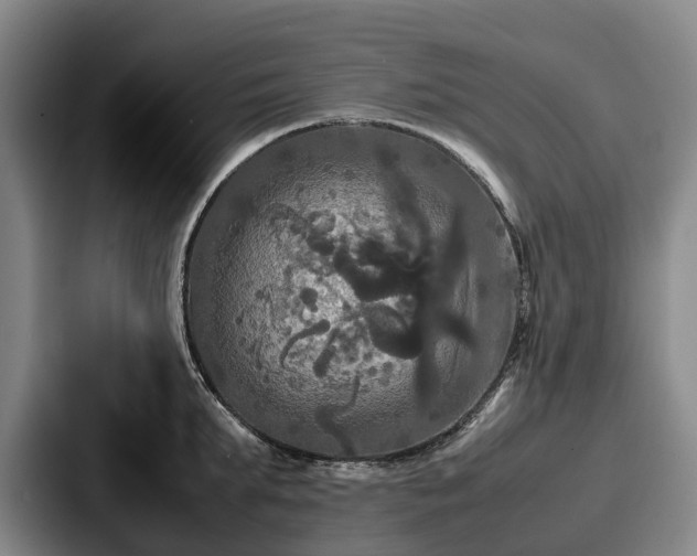 X0000087710903200705111419