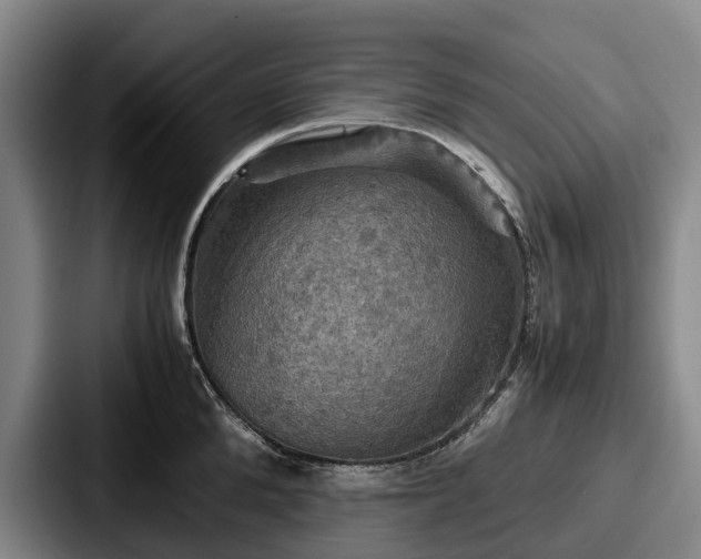 X0000087710904200705111419