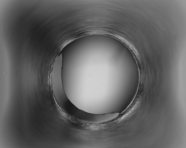 X0000087710905200705111419