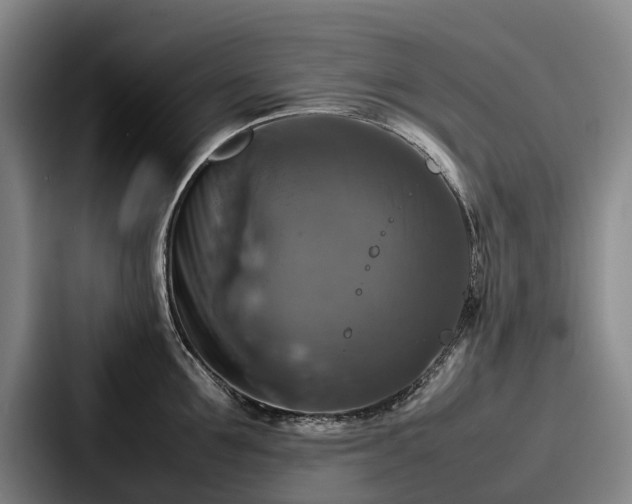 X0000087710907200705111419