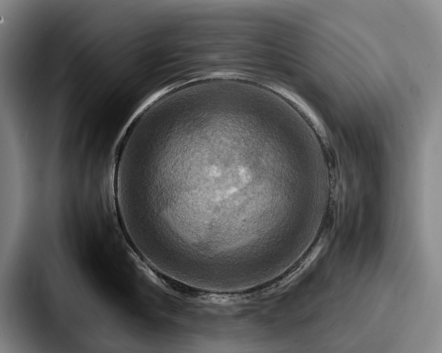 X0000087710910200705111419