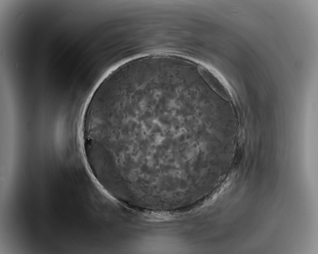 X0000087710911200705111419