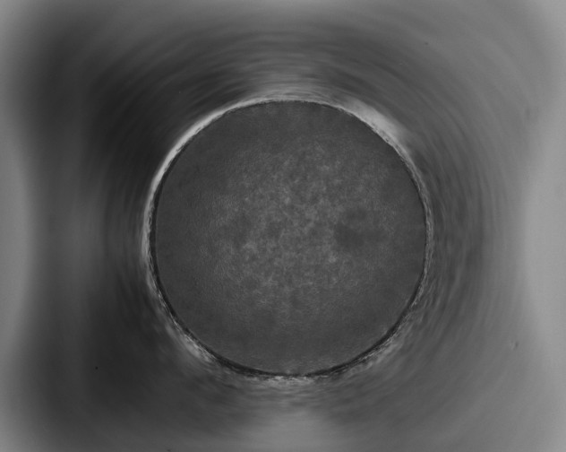 X0000087710912200705111419