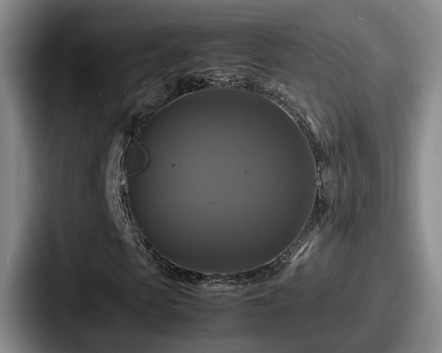 X0000087710913200705111418