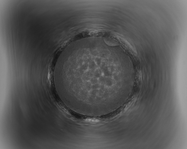 X0000087710914200705111418