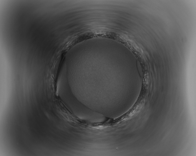 X0000087710916200705111418