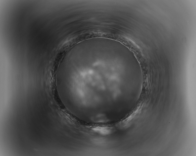 X0000087710917200705111418
