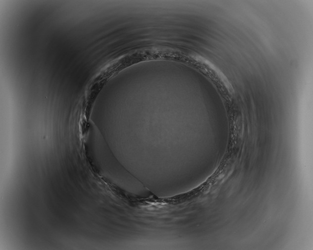 X0000087710919200705111418