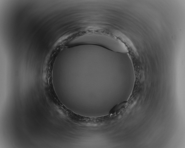 X0000087710920200705111418