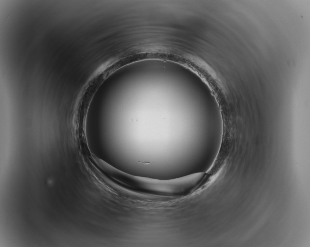X0000087710922200705111418