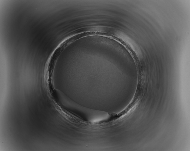 X0000087710923200705111418