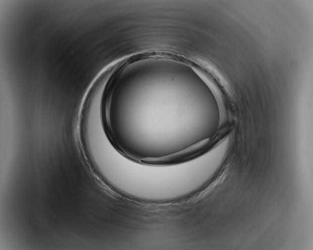X0000087710924200705111418