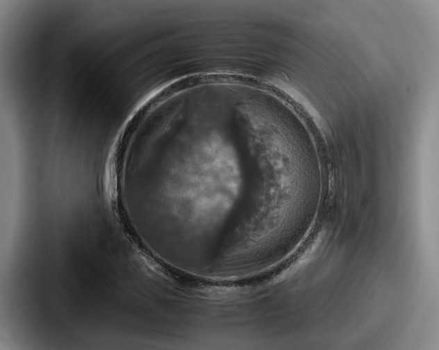 X0000087710925200705111418