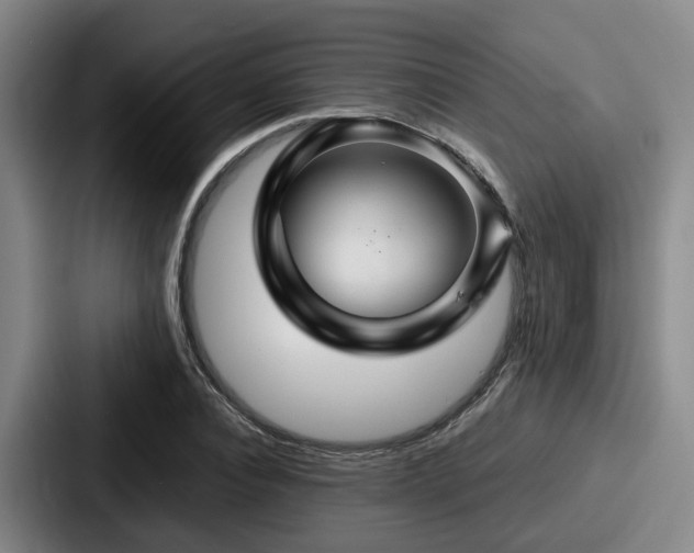 X0000087710928200705111418