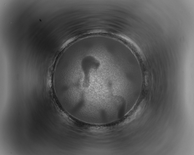 X0000087710929200705111418