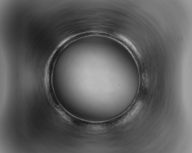 X0000087710931200705111418
