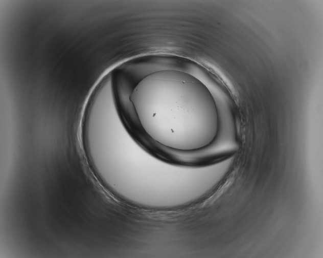 X0000087710932200705111418