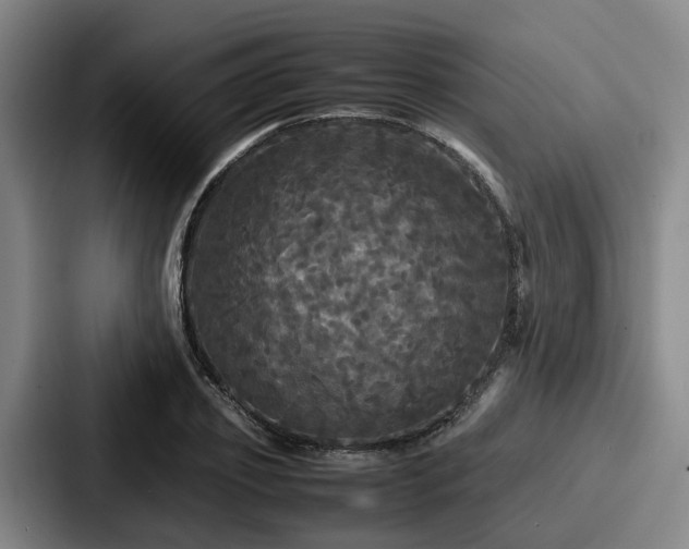X0000087710933200705111418