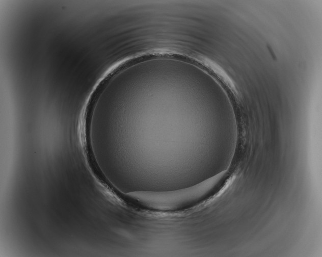 X0000087710934200705111418