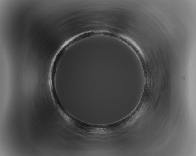 X0000087710935200705111418