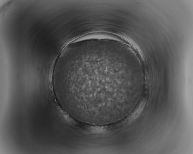 X0000087710937200705111418
