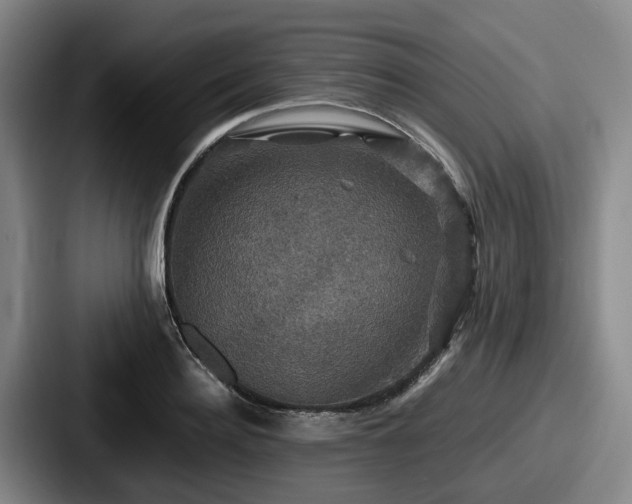 X0000087710940200705111418