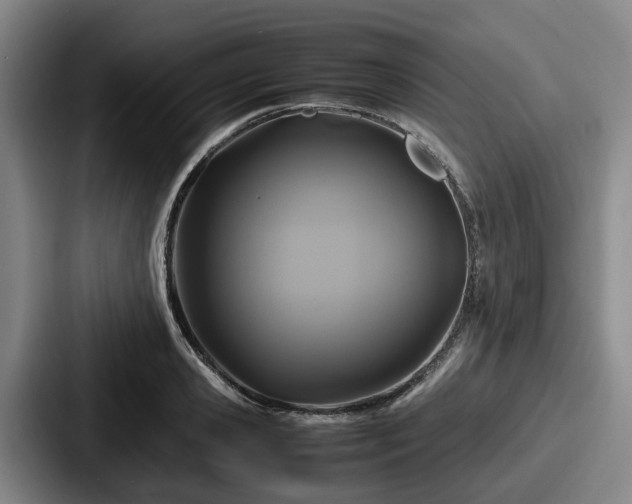 X0000087710941200705111418