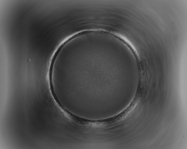 X0000087710943200705111418