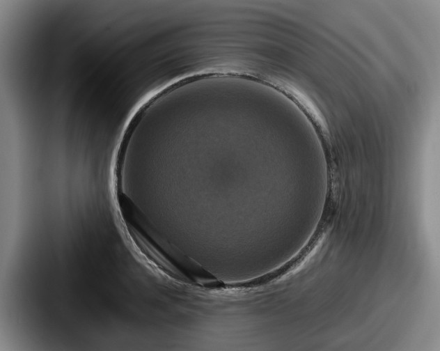 X0000087710944200705111418