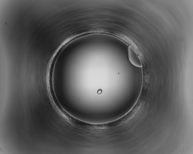 X0000087710947200705111419