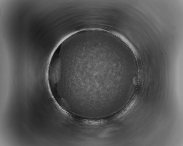X0000087710951200705111419