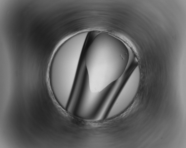 X0000087710952200705111419