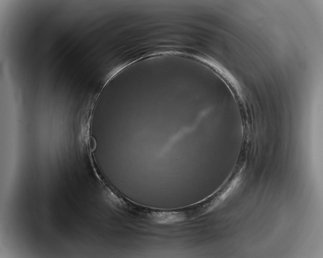 X0000087710953200705111419