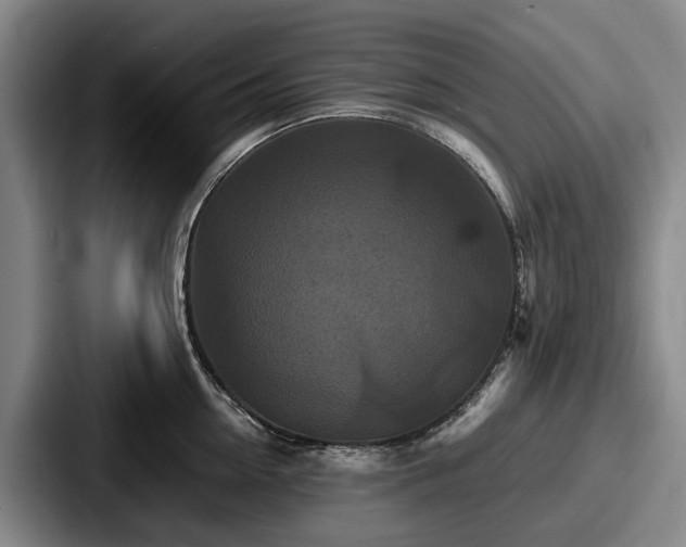 X0000087710954200705111419