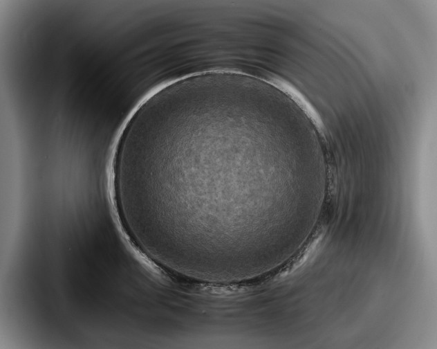X0000087710955200705111419