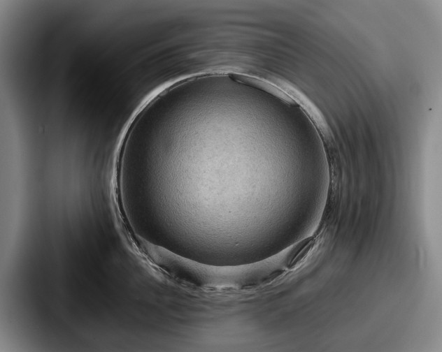 X0000087710956200705111419