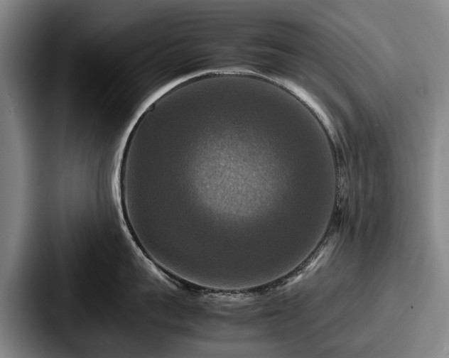 X0000087710959200705111419