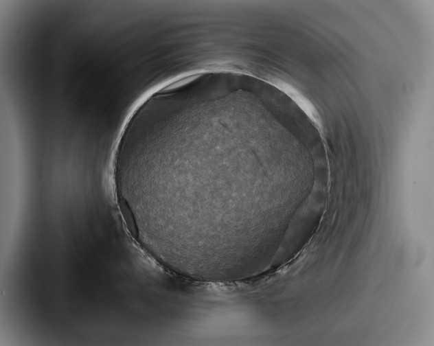 X0000087710960200705111419