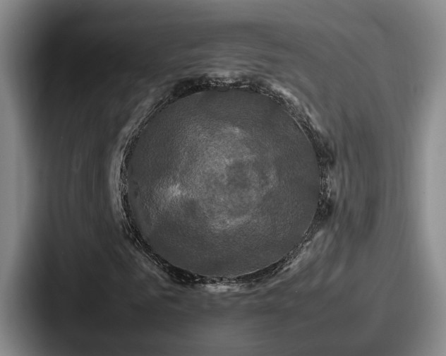 X0000087710961200705111418