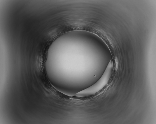 X0000087710964200705111418