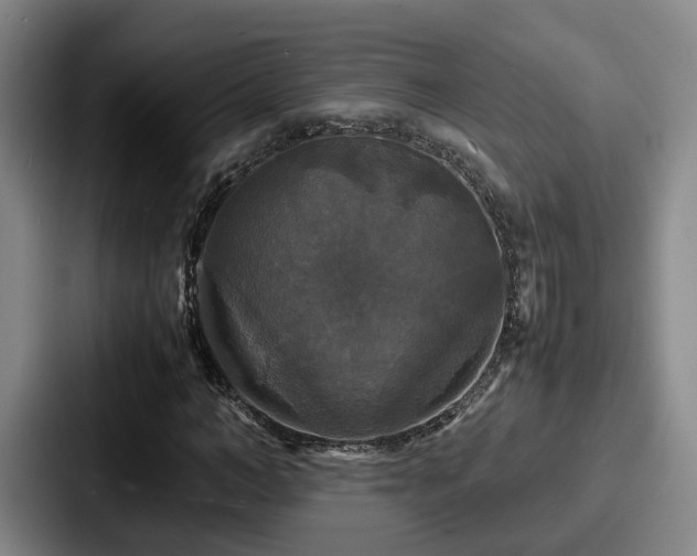 X0000087710966200705111418