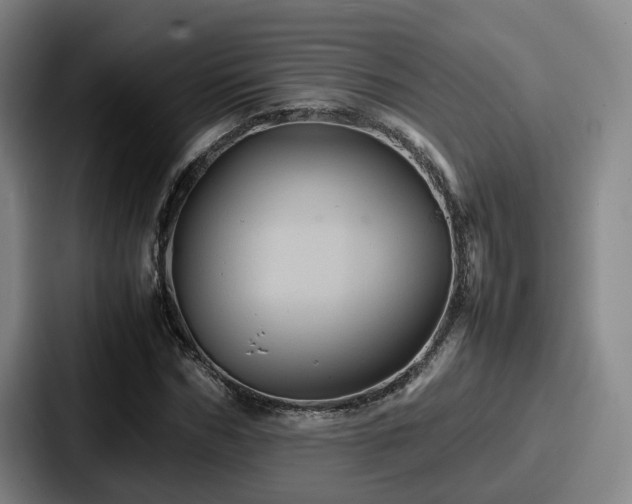 X0000087710970200705111418
