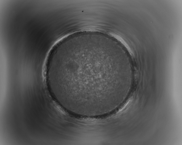 X0000087710971200705111418