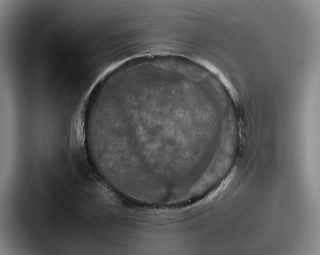 X0000087710973200705111418